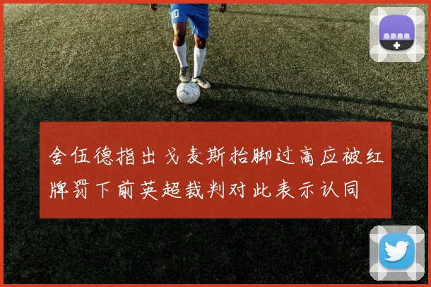 舍伍德指出戈麦斯抬脚过高应被红牌罚下前英超裁判对此表示认同