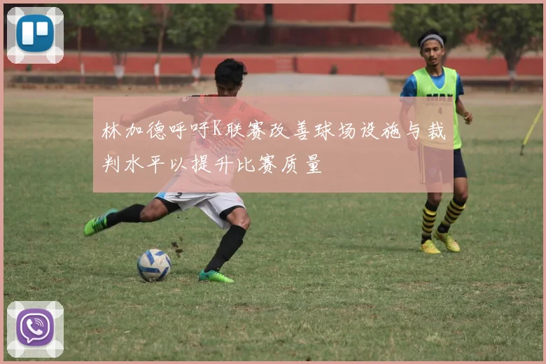 林加德呼吁K联赛改善球场设施与裁判水平以提升比赛质量