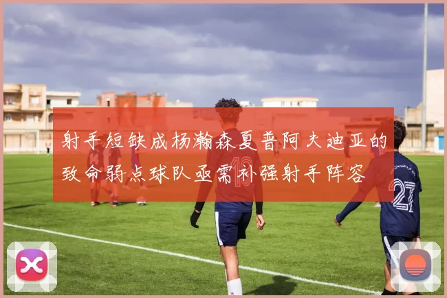 射手短缺成杨瀚森夏普阿夫迪亚的致命弱点球队亟需补强射手阵容