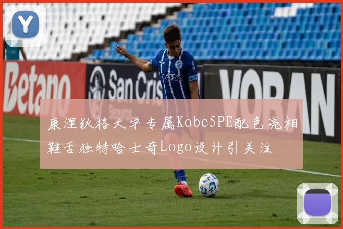 康涅狄格大学专属Kobe5PE配色亮相鞋舌独特哈士奇Logo设计引关注